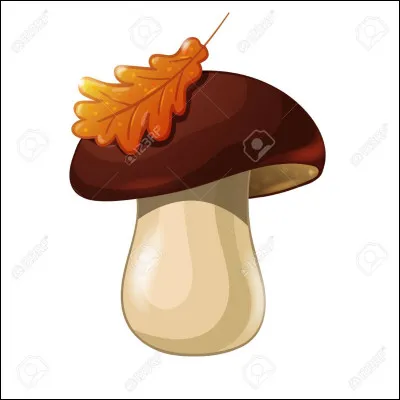 Dois-je cuisiner mon navarin avec des champignons ?