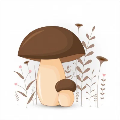 Les champignons sont-ils utiles à la duxelles ?