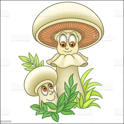 Les champignons sont-ils utiles au potage dartois ?