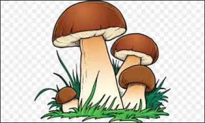 Trouve-t-on des champignons dans la salade César ?