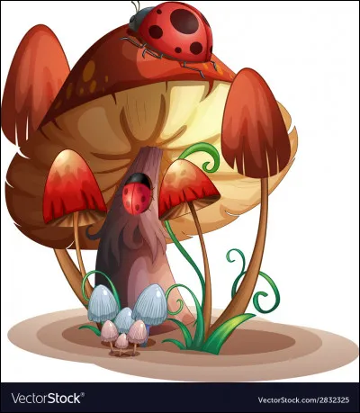 Je vais faire une pizza reine, dois-je prévoir des champignons ?