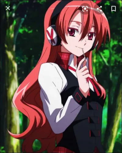Qui est ce personnage de &laquo; Akame ga Kill &raquo; ?