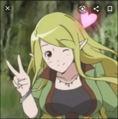 De quel anime s�agit-il ?