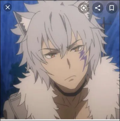 De quel anime s�agit-il ?