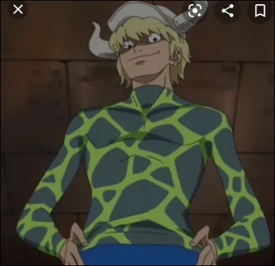 Comment s'appelle ce personnage de &laquo; One Piece &raquo; ?
