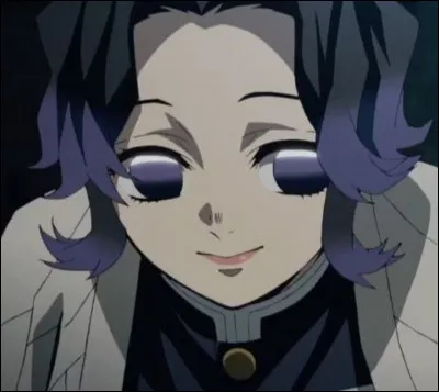 Comment s'appelle ce personnage de &laquo; Demon Slayer &raquo; ?