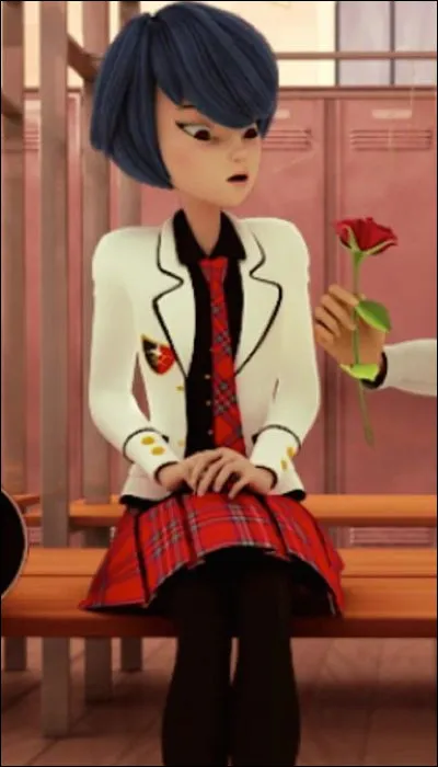 Quelle personne a offert une rose à Kagami ?