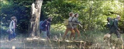 Par quel moyen Harry et les Weasley parviennent-ils  l'endroit o doit se drouler la 422me Coupe du Monde de Quidditch ?