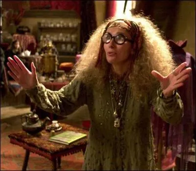 Quelle crature le professeur Trelawney affirme avoir vu apparatre dans la tasse d'Harry ?