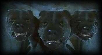 Quel nom a donné Hagrid au chien à trois têtes qui gardait une entrée secrète lors du premier opus ?