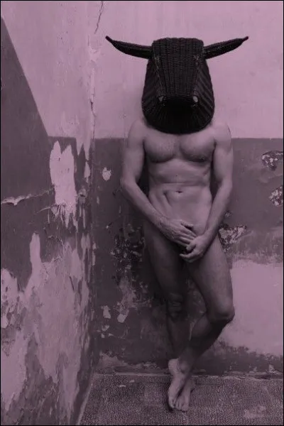 Où est né le Minotaure ?