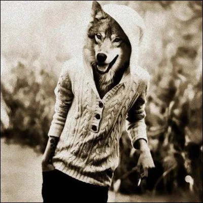 Roi d'Arcadie transformé en loup pour avoir méprisé Zeus en voulant lui servir lors d'un repas de la chair humaine. Qui est-il ?