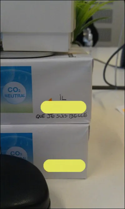 Pourtant, elle Kas pas des briques...