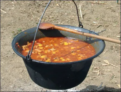Quel est ce mets hongrois très répandu en Europe centrale, une soupe à base de viande, de légumes, de tomates, d'aromates et de l'indispensable paprika ?