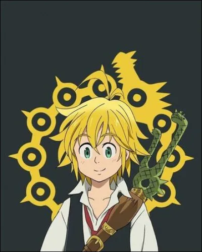 Quel est l'âge de Meliodas ?