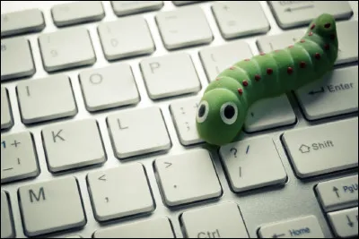 Un ver informatique est quel type de logiciel malveillant ?