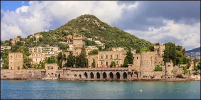 À Mandelieu-La Napoule c'est un corso fleuri qui attire les visiteurs. Quelle fleur est à l'honneur ?