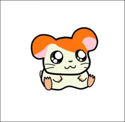 Retrouve le hamster.