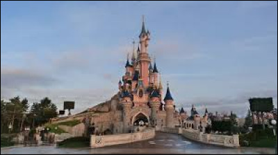 Dans le parc de Disneyland Paris, l'élément central est le château de...