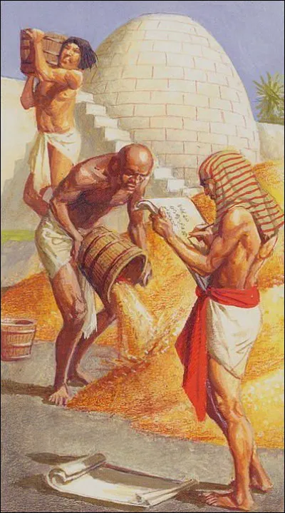 Cette organisation leur permettra dêtre le premier producteur de céréales du monde antique.