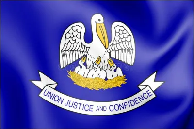 À quel État des États-Unis ce drapeau appartient-il ?