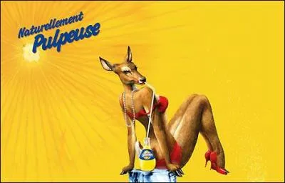 Que vante cette pub ?