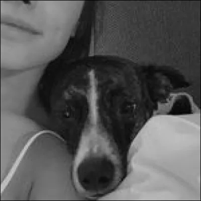 Si oui, quel est son compte ?