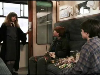 Qui sont les deux meilleurs amis de Harry ?