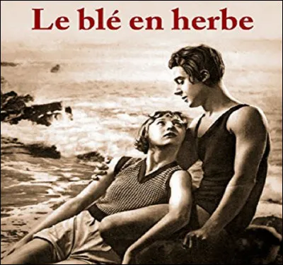 Qui est l'auteure du roman ''Le Blé en herbe'' ?