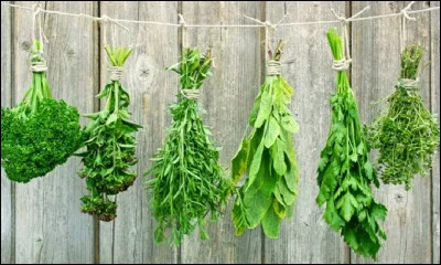 Par quel terme désigne-t-on les menues plantes du potager qui se mettent sur la salade, les omelettes ou qui semploient dans les ragoûts ?