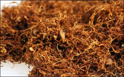 Tout le monde sait que l'herbe à Nicot est le tabac, mais connaissez-vous le prénom de Nicot ?