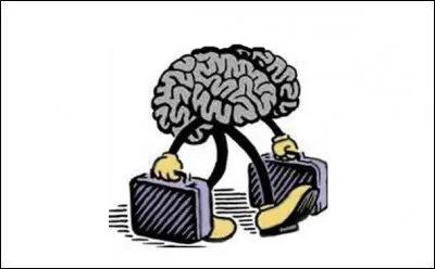 Quelle est la définition de "fuite des cerveaux" ?