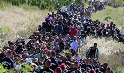 Comment est la politique migratoire du Qatar ?