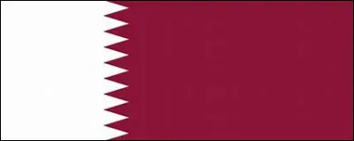 Au Qatar, qu'y a t-il le plus ?