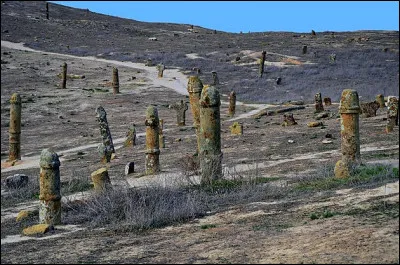 On s'est longtemps demandé à quoi pouvaient bien servir les 600 statues de forme clairement phallique érigés dans cette plaine du .... Mais les archéologues ont trouvé : de quoi s'agit-il ?