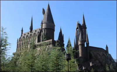 Quel est le nom de l'école où va Harry ?