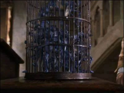 En voulant contrôler les lutins de Cornouailles qui ont envahi sa classe, que perd le professeur Lockart ?