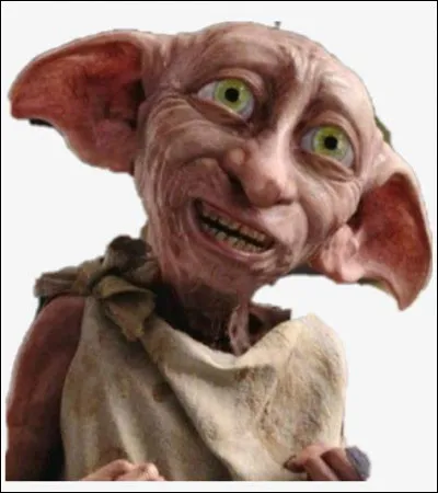 Pendant le dîner chez les Dursley, que fait tomber Dobby ?