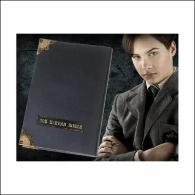 Grâce au journal de Tom Jedusor, Harry retourne dans le passé...