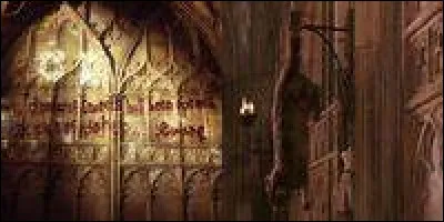 Qui prétend qu'il aurait pu sauver Miss Teigne s'il avait été présent lorsqu'elle a été pétrifiée ?