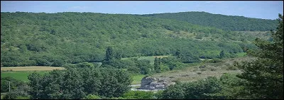 Le "clisi/mètre" est un instrument employé en sylviculture, notamment par les forestiers.
Que signifie la partie placée avant "-mètre" ?