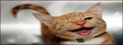 Le mot suggéré par l'illustration s'écrit-il semblablement au singulier et au pluriel ?