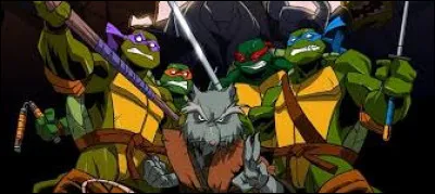 Comment se nomme le chef des Tortues Ninja qui est un rat ?