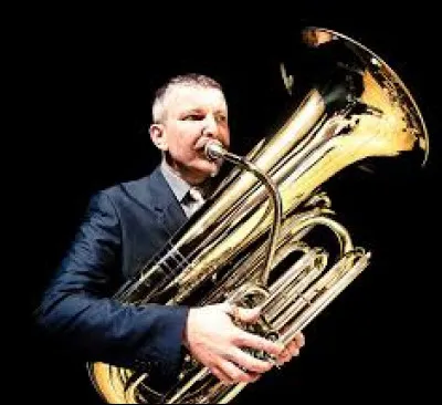 À quelle famille appartient le tuba ?