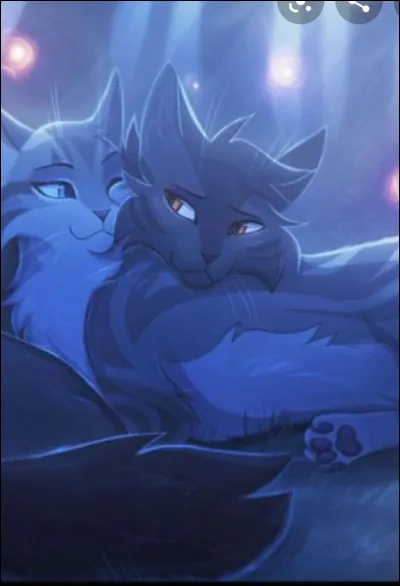 Veux-tu des chatons ?