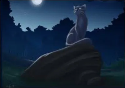 Ton compagnon est nommé lieutenant, quelle est ta réaction ?