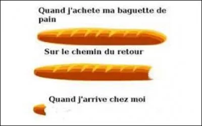 Histoire / gastronomie : 
De quand date, environ, la baguette sous la forme actuelle que l'on connaît ?