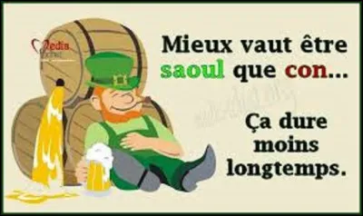 Plante / alcool : 
De ces trois alcools, lequel est fabriqué à base de gentiane ?