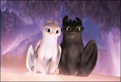 Pourquoi Krokmou n'aime-t-il que la Furie &Eacute;clair ?