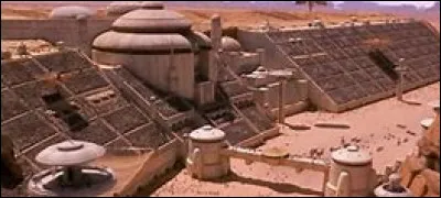 Pour quelle fête la course a-t-elle lieu ?